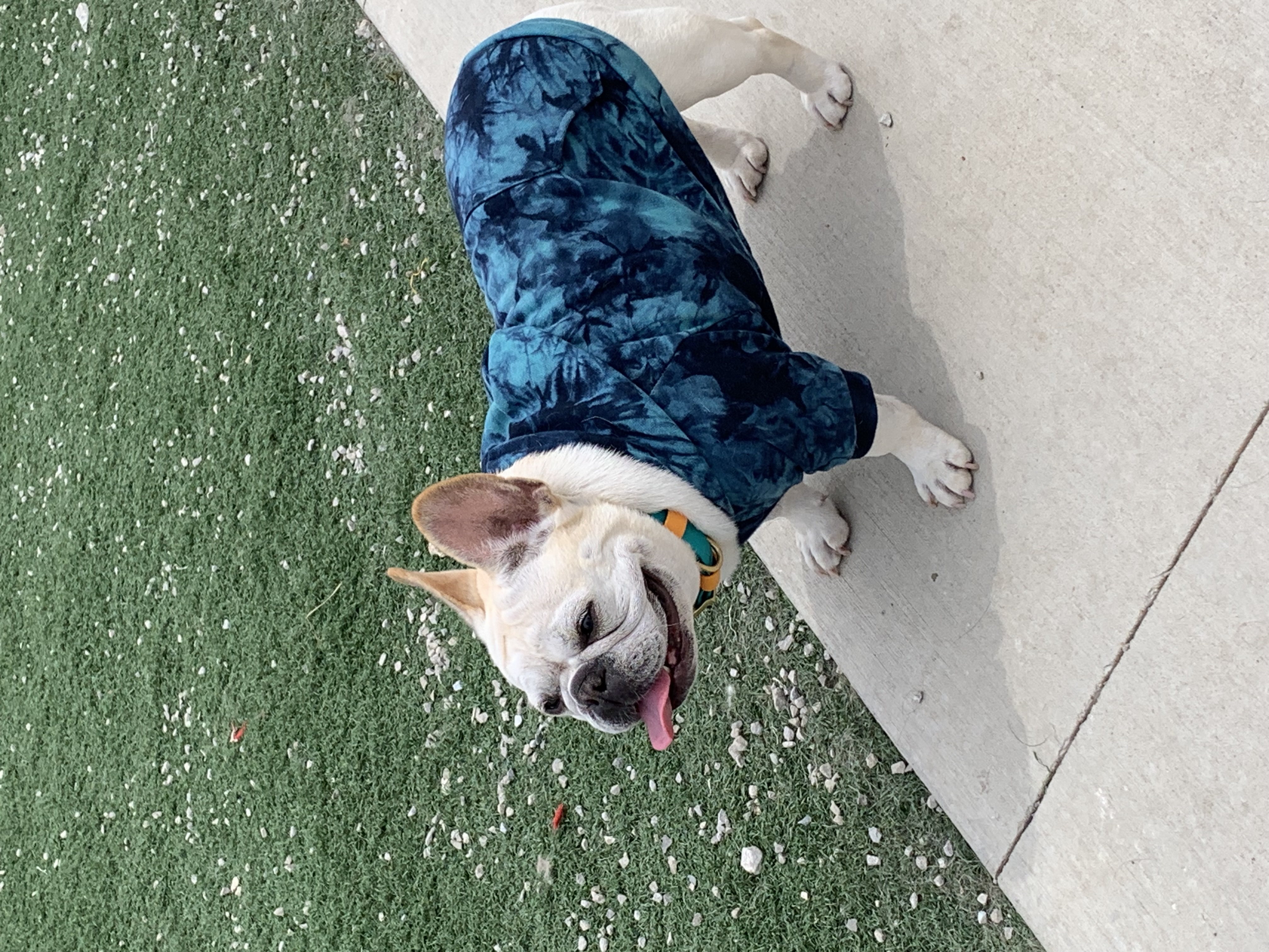 ./2022/06 - St Louis/02 - Day 2/20220522-123522461.JPG